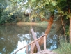 Inviting Lake