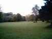 The park of my hometown