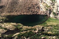 Peacock Pool
