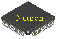 Neuron Chip