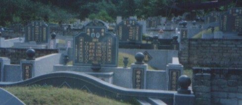 yin fengshui site