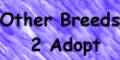 adopt other breeds