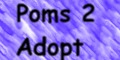 adopt poms