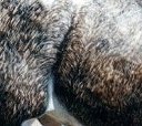 Close Up