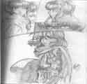 Gully studies