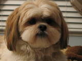 Benson