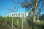 Capertee Sign.
