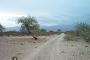 Acceso al campo