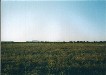 Potrero Grande El Milagro