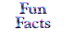 My Trivia Search Game