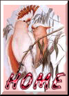 Back to Main Index Page