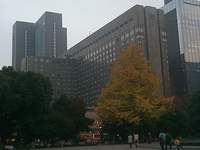Tokyo est&aacute; plagado de grandes rascacielos como este y de ejecutivos por todas partes