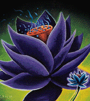 Blacker Lotus