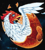 Chicken Egg