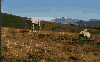 Sierra de Abodi