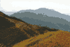 Longshen