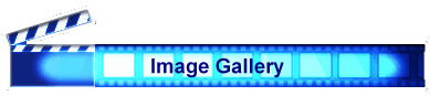 Image Gallery