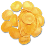 Pasta 1
