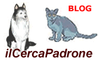 Il cerca padrone