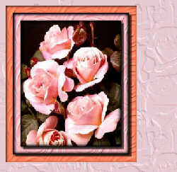 5PinkRoses.jpg (13657 bytes)