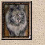 Dog9.jpg (7587 bytes)