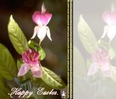 Easter12.jpg (6922 bytes)