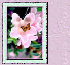 PinkFlower.jpg (11418 bytes)