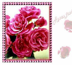 Pink_Roses.jpg (13386 bytes)