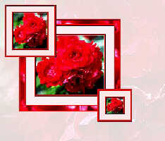 RedRoses.jpg (10182 bytes)
