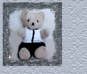 Teddy2.jpg (9714 bytes)