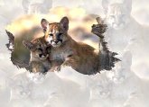 TwoTigers.jpg (5912 bytes)
