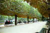 Parisian park
