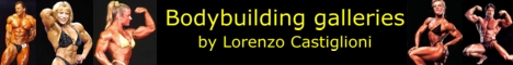 Visit my body-building gallery!