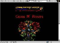 The Lost Rose