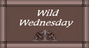Wild Wednesday