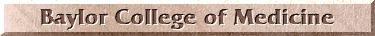 Baylor College of Medicine Web Site