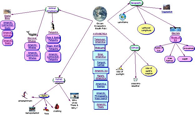 Ocean Ecosystem