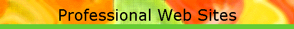 Professional Web Sites