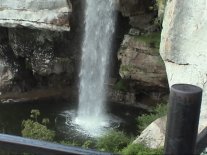 Vacation2003RockCityFalls (9811 bytes)