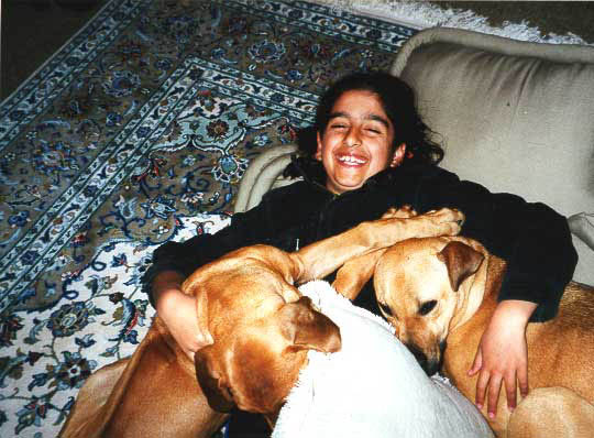 yfdogs1