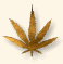 ozbud