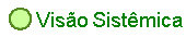 Vis�o Sist�mica