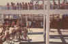 Equatore.jpg (47193 byte)