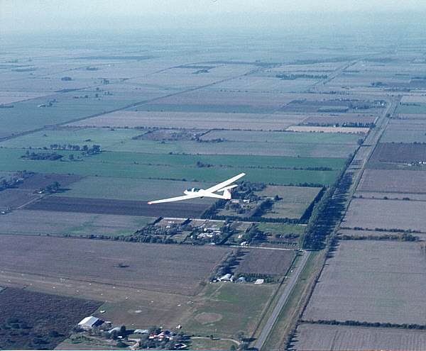 Pista.jpg (39952 bytes)