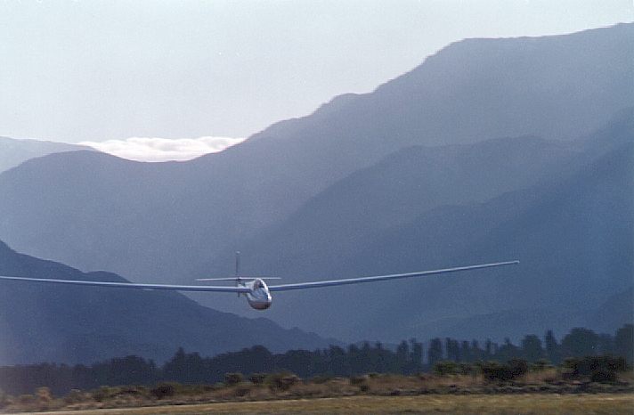 libelle.jpg (36026 bytes)