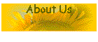 More about us