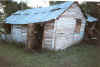 losllanos5.jpg (35065 bytes)