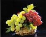 picture of grapes