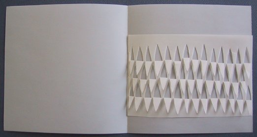 Artists Book Page - Adele Outteridge