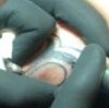 Pino Bros. Ink - Matt Tattooing Nick